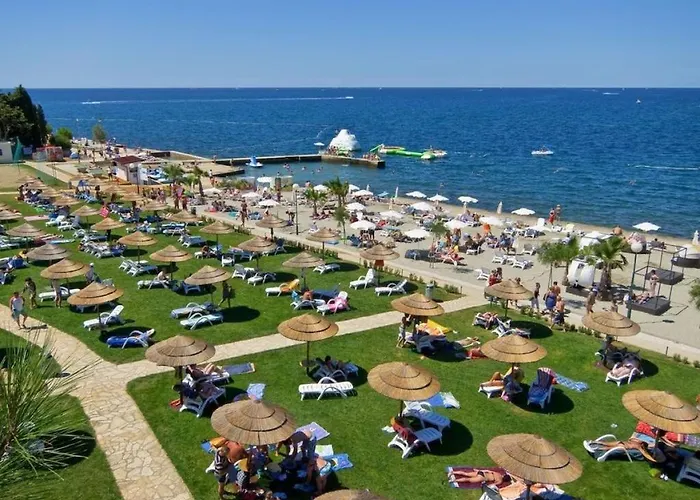 In Pore With Swimming Pool *